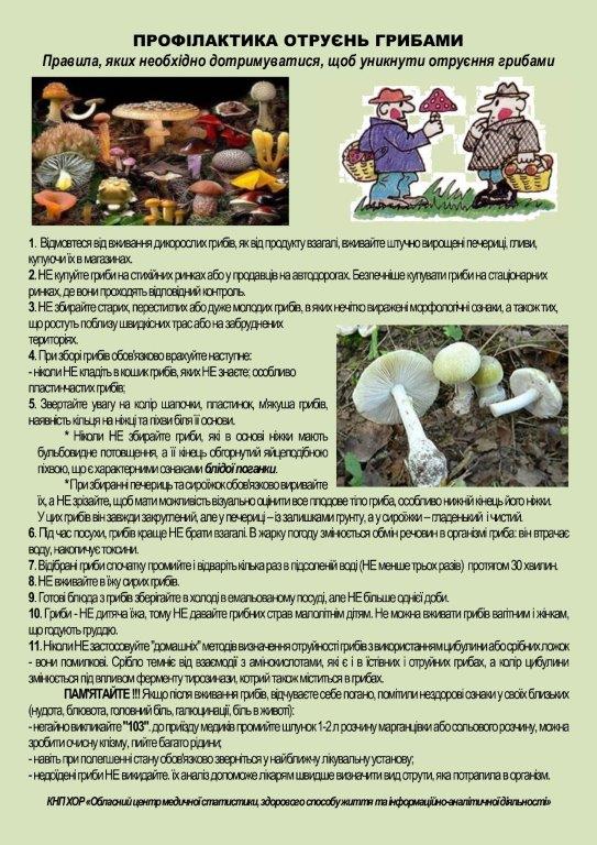 Бережіться отруєнь грибами!