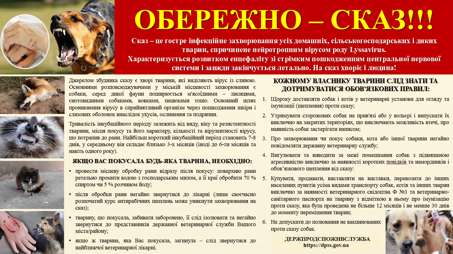 СКАЗ: ЧИМ НЕБЕЗПЕЧНЕ ЗАХВОРЮВАННЯ ТА ЯК УБЕРЕГТИСЯ