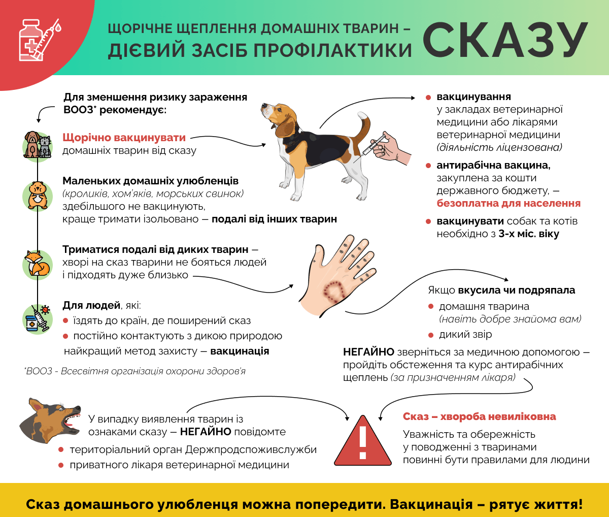 СКАЗ: ЧИМ НЕБЕЗПЕЧНЕ ЗАХВОРЮВАННЯ ТА ЯК УБЕРЕГТИСЯ
