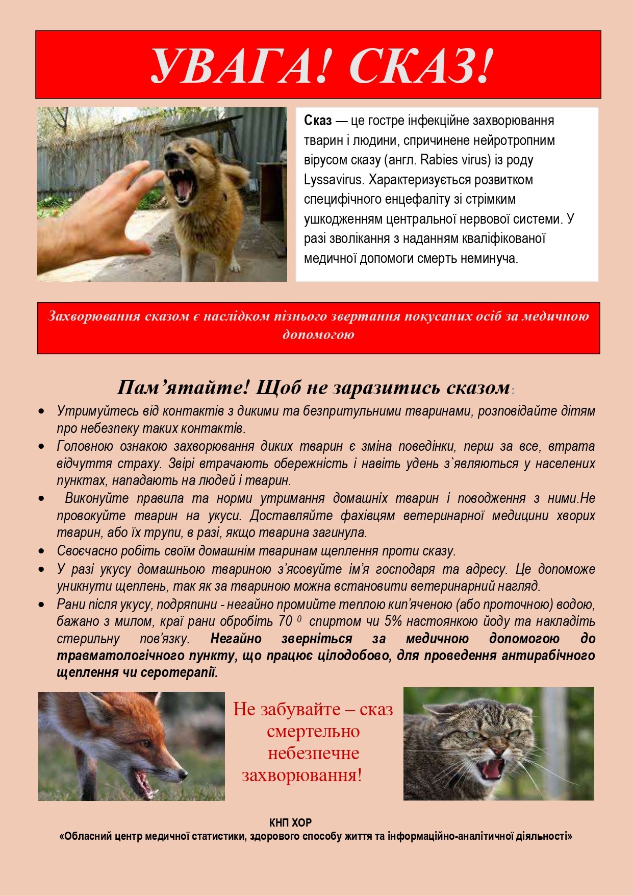 СКАЗ: ЧИМ НЕБЕЗПЕЧНЕ ЗАХВОРЮВАННЯ ТА ЯК УБЕРЕГТИСЯ