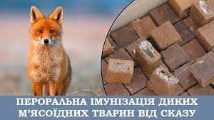 Кампанія з пероральної вакцинації диких м’ясоїдних тварин проти сказу