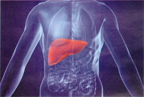 Профілактика вірусних гепатитів